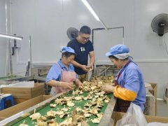 杨涛接过“接力棒”